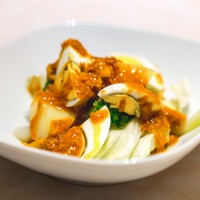 GADO GADO